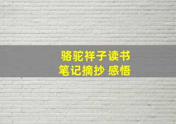 骆驼祥子读书笔记摘抄 感悟